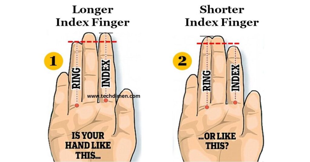 Index Finger 3 inches