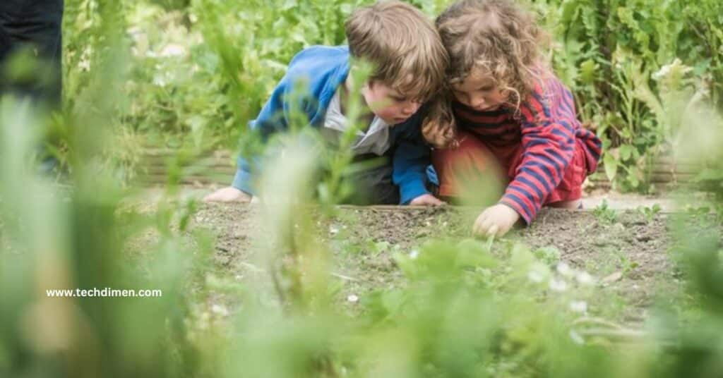 Exploring 100 Feet in Nature