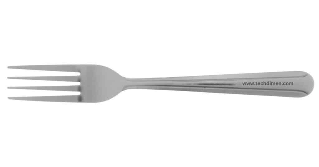 Fork