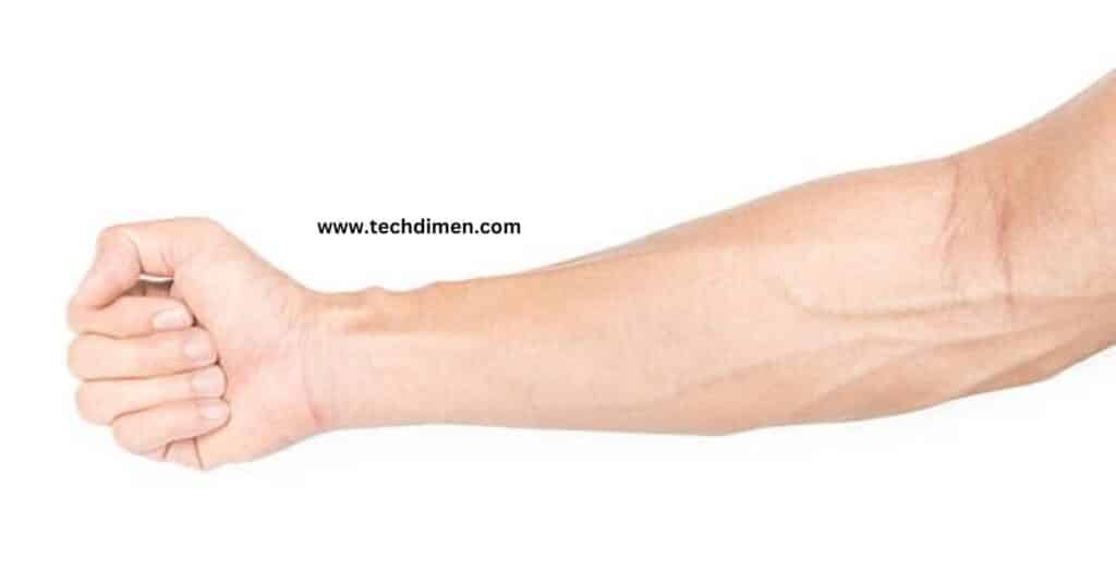 Length from Wrist to Elbow