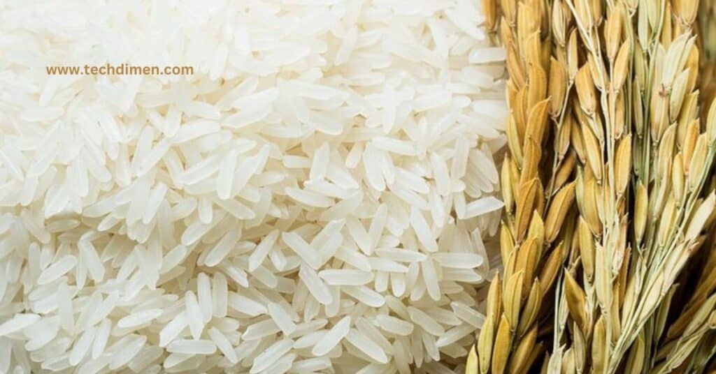 A Rice Grain