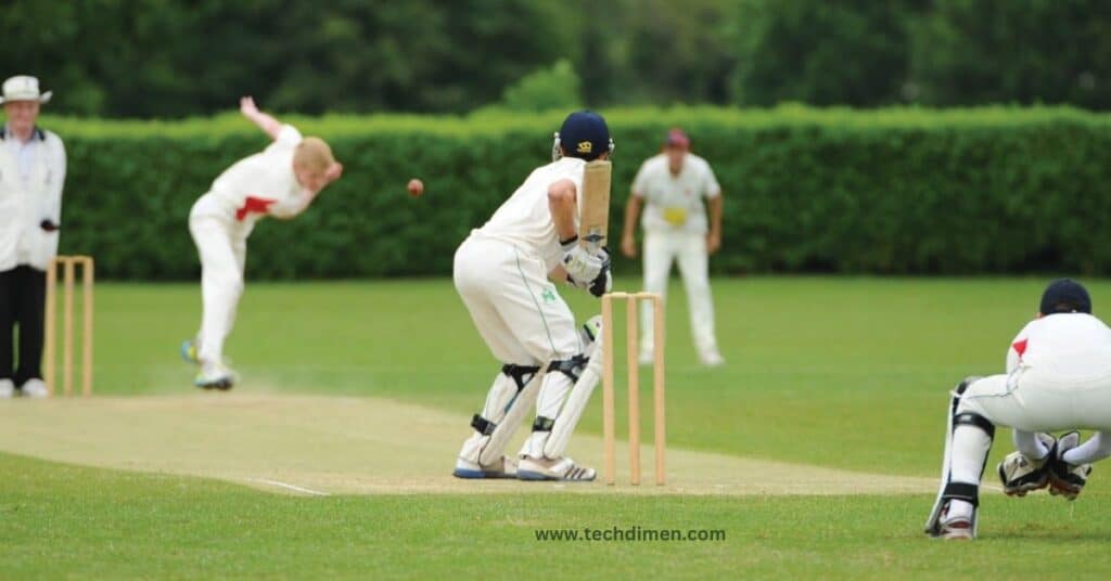 Half of a Cricket Pitch