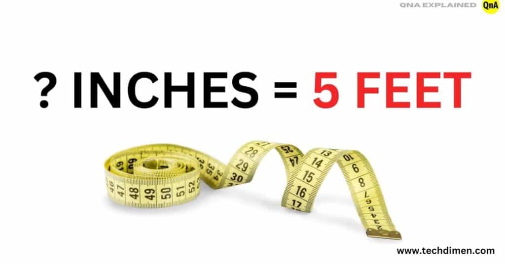 How Many Inches is 5 Feet?