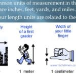 the Length of 18 Inches in Everyday Life