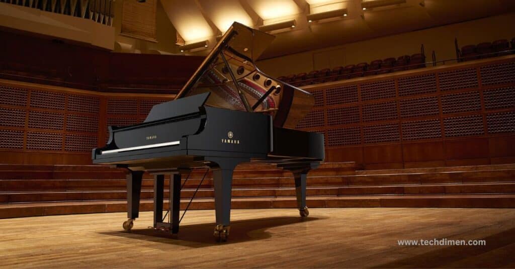 Grand Pianos and Musical Equipment