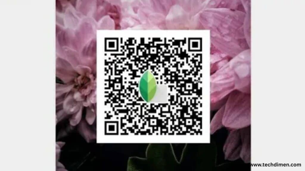 Snapseed QR Codes: Easy Photo Editing Presets