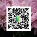 Snapseed QR Codes: Easy Photo Editing Presets
