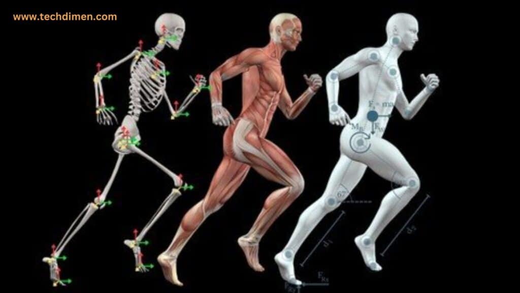 AI Powered Biomechanics Transforms Movement Analysis