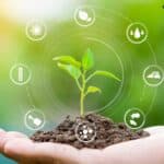 Seed and Technology