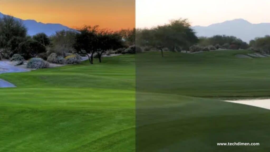 How HDR Creates Richer Contrast and Brightness