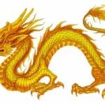 China Dragon technology
