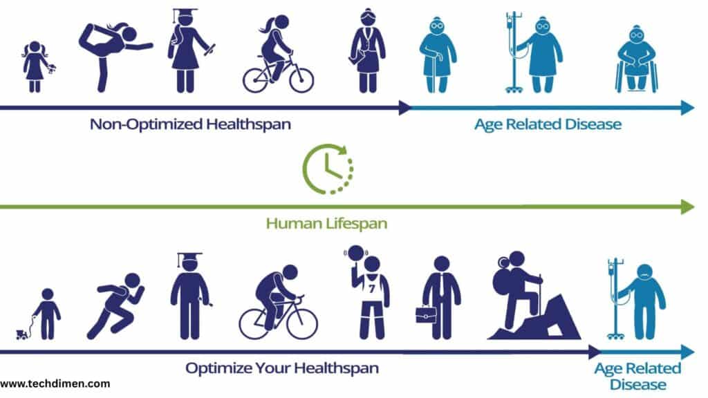 Lifespan and Durability