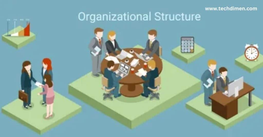 Organizational Structure and Reporting Lines