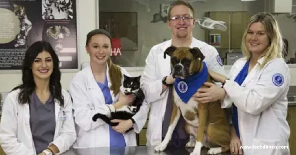 Future of Veterinary Technology Careers
