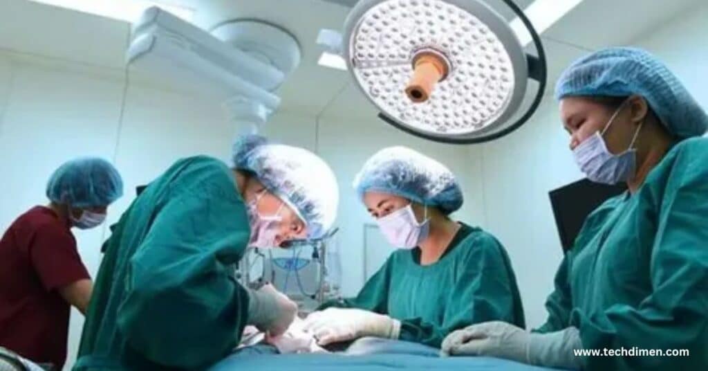 Benefits of Vet Tech Specialization